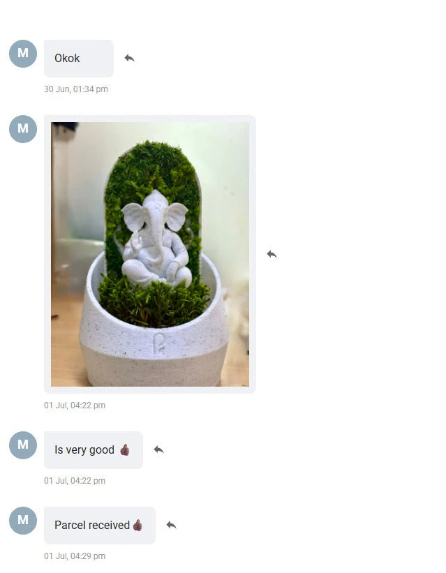 Customer WhatsApp conversation with a Ganesha dome photo and positive feedback